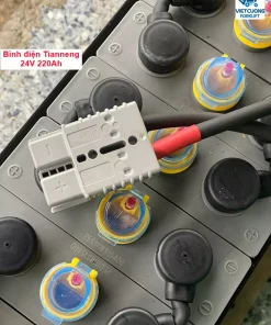 Bình điện tianneng 24v 220ah
